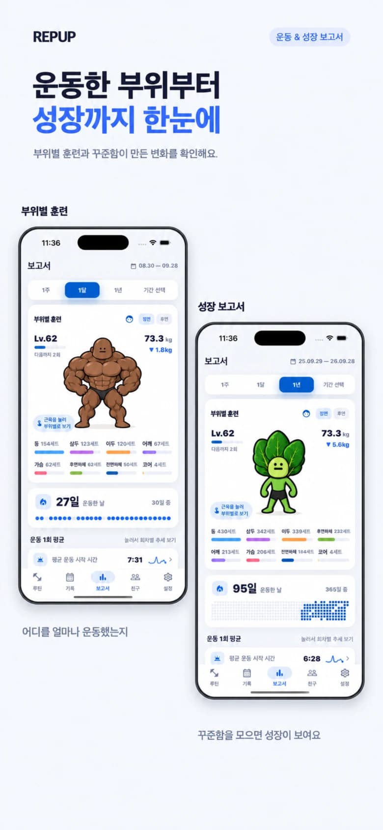 REPUP training and progress reports: see volume by muscle group and long-term progress at a glance